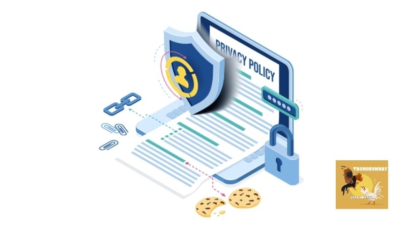 Chính sách bảo mật - Thomohomnay hoạt động chuyên nghiệp 5 Cách mà hệ thống website bảo vệ người truy cập của mình