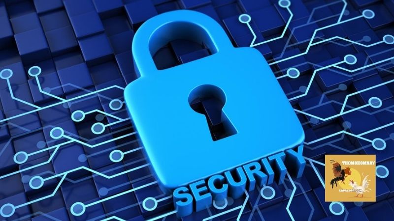 Chính sách bảo mật - Thomohomnay hoạt động chuyên nghiệp 4 Chính sách bảo mật của website và những nguyên tắc cần nắm