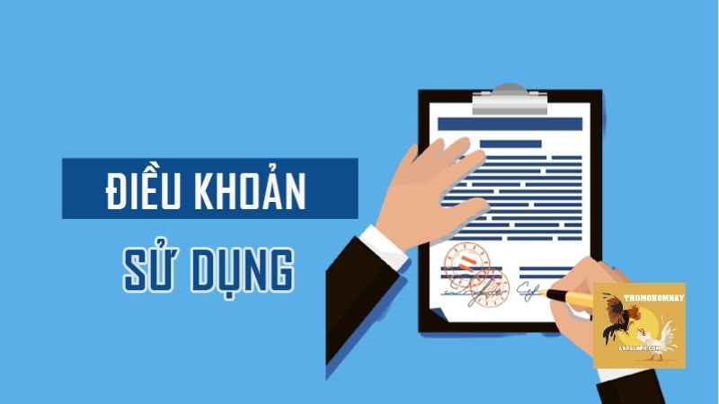 Điều kiện điều khoản trong việc sử dụng website đúng cách