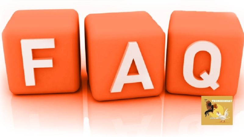 FAQ về website trực tiếp đá gà Thomohomnay