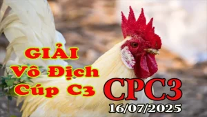 Xem Gà Đá Giải Vô Địch Cúp C3 Ngày 16/07/2025